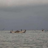 البحرية الإريترية تختطف 5 صيادين من أبناء المخا