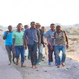 الهجرة الدولية: دخول 18 ألف مهاجر أفريقي لليمن خلال نوفمبر الماضي