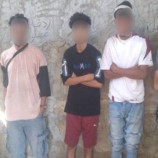 قوات حزام لحج تضبط أربعة متعاطين ومروجي مواد مخدرة