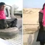 القبض على عنصر حوثي متنكر في زي نسائي شمال الضالع