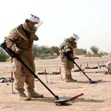 مسام يطالب المجتمع الدولي بالضغط على الحوثيين للكشف عن مواقع حقول الألغام