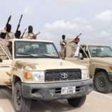 قوات النخبة الحضرمية .. الدرع الصامد في وجه الإرهاب ومشاريع الفوضى