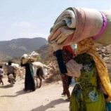 الهجرة الدولية: ارتفاع في حالات النزوح الداخلي بنسبة 4%