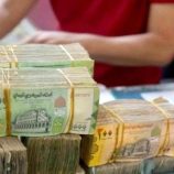 عدن.. شركات الصرافة تُجمّد البيع والشراء بعد الانهيار!