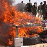 إتلاف أكثر من أربعة أطنان من المواد المخدرة في المهرة