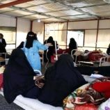 تسجيل أكثر من 210 آلاف إصابة بالملاريا و18 وفاة في اليمن