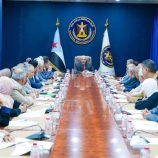 c42fbae0-bd24-46dd-9473-8762a22ec254