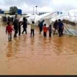 تقرير دولي : الكوارث المناخية تسببت بنزوح نصف مليون شخص في اليمن