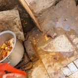 0bc2fe65-1fd3-44bc-b846-e229542ca69e