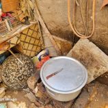 572439a6-9127-437c-b4bf-02a3df98524a