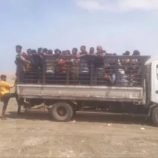 الحزام الأمني في الصبيحة يضبط 119 مهاجرا أفريقيا بعمق البحر