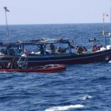 ضبط 200 مهاجرًا أفريقيًا في سواحل شبوة