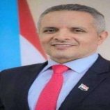 بيوم الصحافة.. الوطنية للإعلام: تحية للأفلام الجنوبية الشجاعة