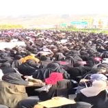 قيادية بالمجلس الانتقالي تستهجن تصرفات مشاركات في الوقفة الاحتجاجية النسوية