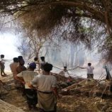 حريق في مزارع الديس الشرقية والسلطة تطالب بدعم الإطفاء