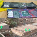 ضبط مروّجي حشيش داخل ورشة في حديبو بسقطرى