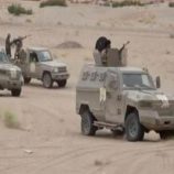 القوات الجنوبية تحبط محاولات هجومية لمليشيا الحوثي الإرهابية بجبهة يافع الحدودية