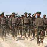 محافظ سقطرى يشهد حفل تخرج الدفعة الثالثة لقوات الدعم والإسناد بمركز الشهيد طاهر السقطري