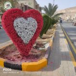 صندوق النظافة والتحسين بمدينة سيئون يواصل تنفيذ مشاريع تجميلية استعدادًا لعيد الأضحى المبارك