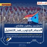 *جنوبيون يطلقون وسم #حماه_الجنوب_ضد_التضليل ويفضحون أكاذيب خليتيّ (هولندا وعٌمان وتركيا)*