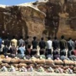 السعودية تحبط تهريب ربع طن قات وتطيح بـ10 يمنيين متورطين