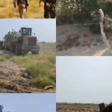 إزالة بناء عشوائي طال أراضي المرحلة الثانية من مشروع الطاقة الشمسية في بئر أحمد