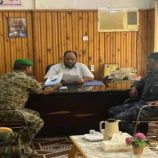 حملة توعية لحماية السلاحف الخضراء في محمية شرمه البحرية