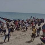 ضبط 170 مهاجرا غير شرعي في سواحل شبوة