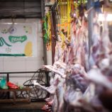 أفران عدن الخيرية تدعم آلاف الأسر بلحوم الأضاحي