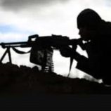 قناص حوثي يقتل راعي أغنام في شبوة