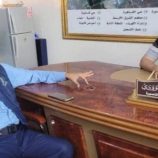 السلطة المحلية بالمنصورة تبحث تنفيذ إشارات مرورية ضوئية في شوارع المديرية