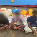 قوات الحملة الأمنية المشتركة تضبط قاربًا يحمل نصف طن حشيش قرب باب المندب