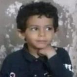 نجلا القيادي الحوثي الذي اختطف طفل الصحفي محمد القادري يلقيان مصرعهما في محافظة إب الشمالية