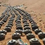 الصليب الأحمر: اليمن من أكثر دول العالم تلوثًا بالألغام ومخلفات الأسلحة