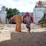 الأمم المتحدة: ارتفاع معدل انعدام الأمن الغذائي في اليمن