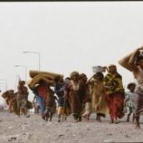 مسهور: 7 يوليو لحظة تاريخية سوداء وانتهاك لقيم الإنسانية