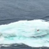 صور أقمار صناعية تكشف عن تلوث نفطي جنوب البحر الأحمر ينذر بكارثة بيئية