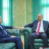 الرئيس الزُبيدي يُناقش مع الفريق الصبيحي تطورات الأوضاع العسكرية والأمنية في المحافظات المحررة