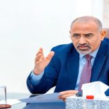 الرئيس الزُبيدي يعلن مشروع الحكم الإداري الجنوبي بنهضة اقتصادية واستثمارية