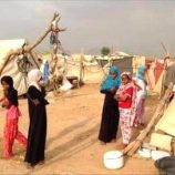 الهجرة الدولية: انخفاض حالات النزوح داخليًا باليمن