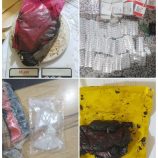 حملة حازمة ضد التجار والمتعاطين.. إنجازات نوعية لإدارة مكافحة المخدرات بعدن خلال شهر يوليو