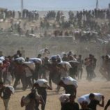 غزة: 9 شهداء بينهم 8 من طالبي المساعدات برصاص الاحتلال الإسرائيلي