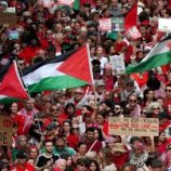 بلجيكا تستدعي سفيرة إسرائيل احتجاجًا على خطة احتلال غزة