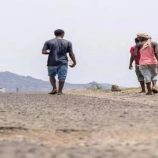 إجراءات حازمة ضد المهاجرين غير الشرعيين في عتق