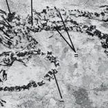 اكتشاف أحفورة لكائن مائي برأسين