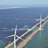 توربينات الرياح الصينية .. هل تهز الأمن القومي الأمريكي؟