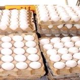 أزمة بيض خانقة في العاصمة عدن