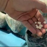 حملة أمنية مشتركة تضبط مئات الآلاف من الحبوب المخدرة على متن قارب قرب المندب