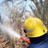 إخماد حريق في بستان نخيل بسقطرى دون خسائر بشرية