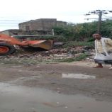 حملة لإزالة الأشجار المعيقة لخطوط الكهرباء في مودية